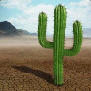 Cactuz