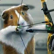 Fallenhamster