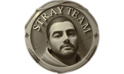 Stray Team