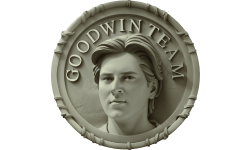 GoodWIN Team 